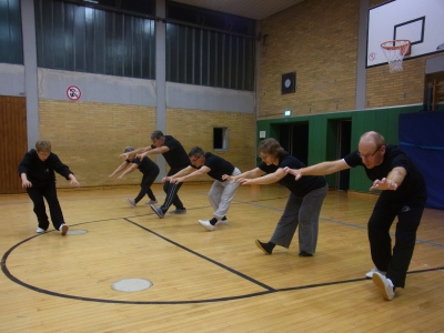 Qigong 5 Tiere